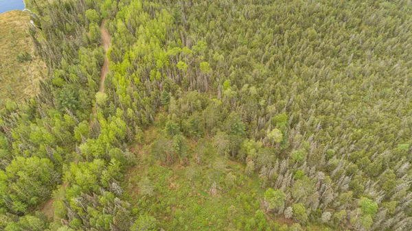 $45,000 | Tbd Tbd Victor Lake Road, Isabella, MN 55607
