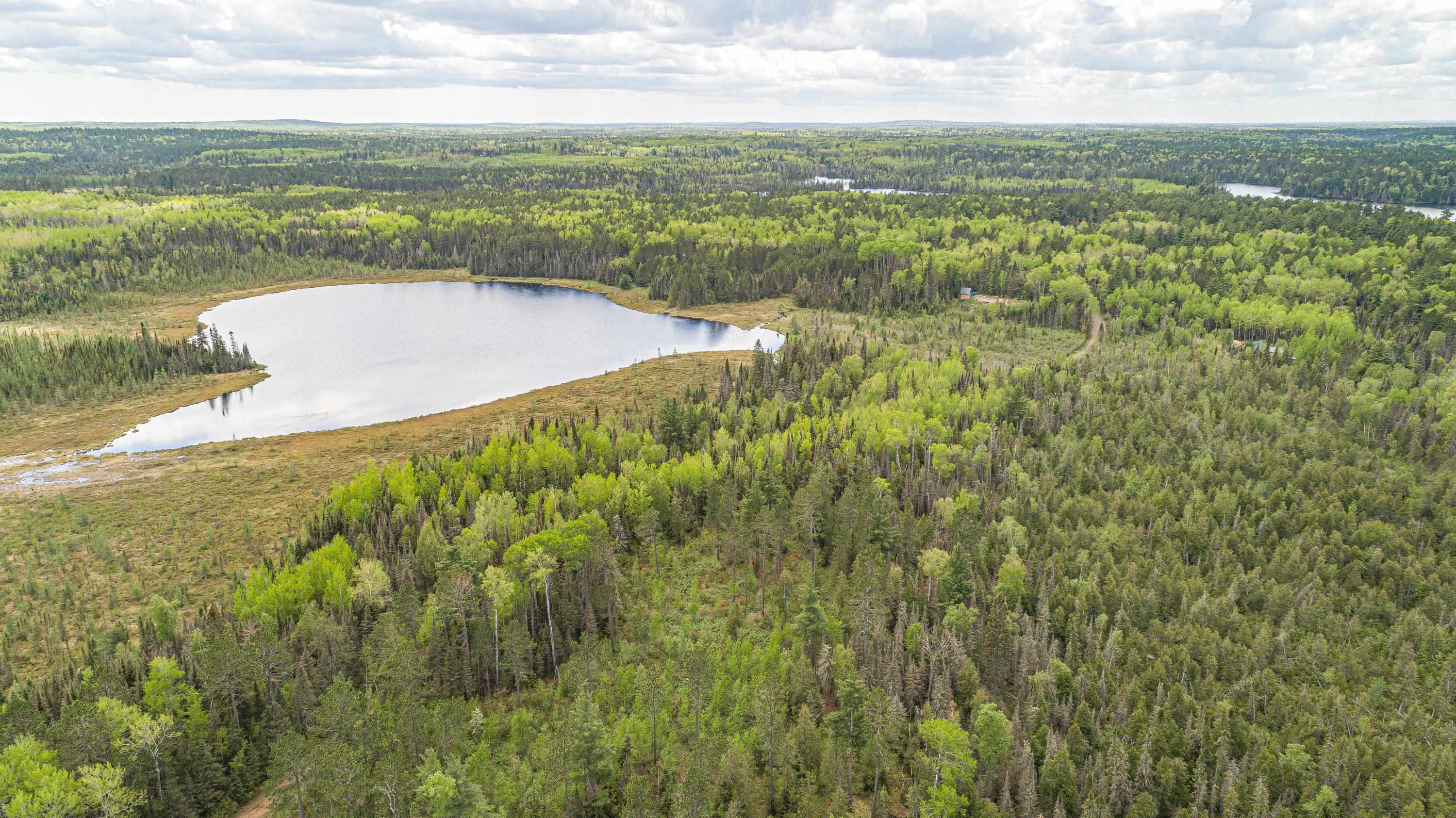 Tbd Tbd Victor Lake Road Isabella, MN 55607 - Photo 38 of 39