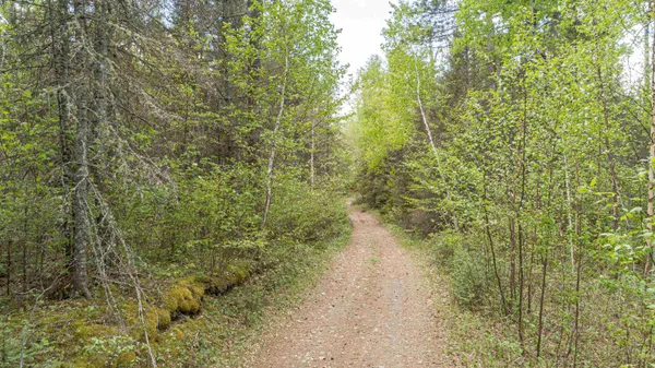$45,000 | Tbd Tbd Victor Lake Road, Isabella, MN 55607