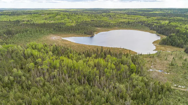 $45,000 | Tbd Tbd Victor Lake Road, Isabella, MN 55607