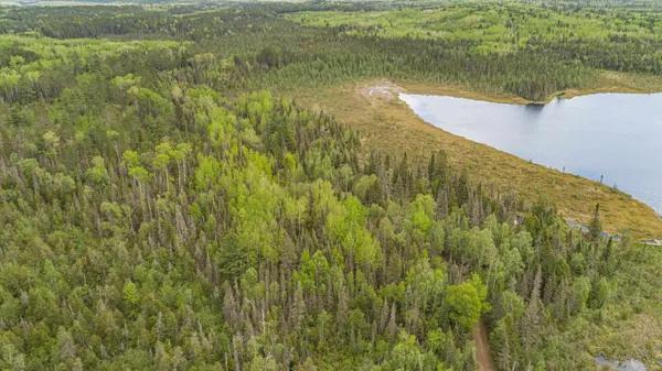 $45,000 | Tbd Tbd Victor Lake Road, Isabella, MN 55607