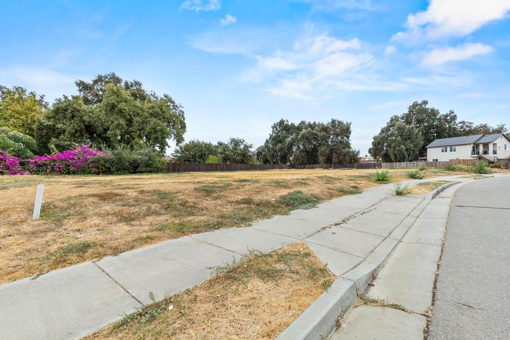 9659 Reed Street Knights Landing, CA 95776 - Photo 2 of 9 a view of yard with swimming pool and trees in the background