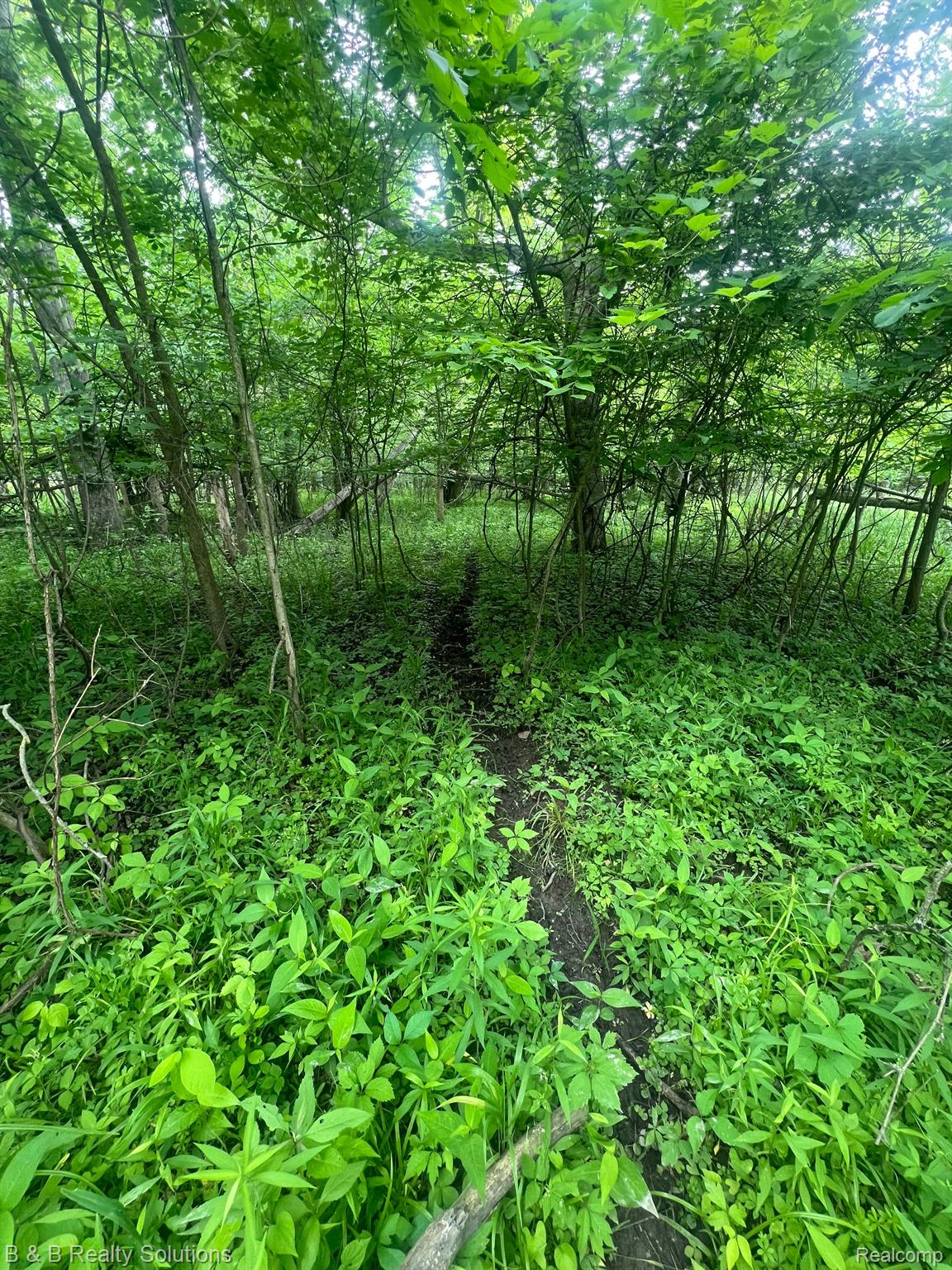 0 Ducker Road North Branch, MI 48461 - Photo 9 of 44 Gallery Image 9