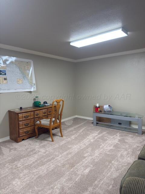 3501 Van Winkle Drive Amarillo, TX 79121 - Photo 29 of 35 a reading room with furniture and a couch