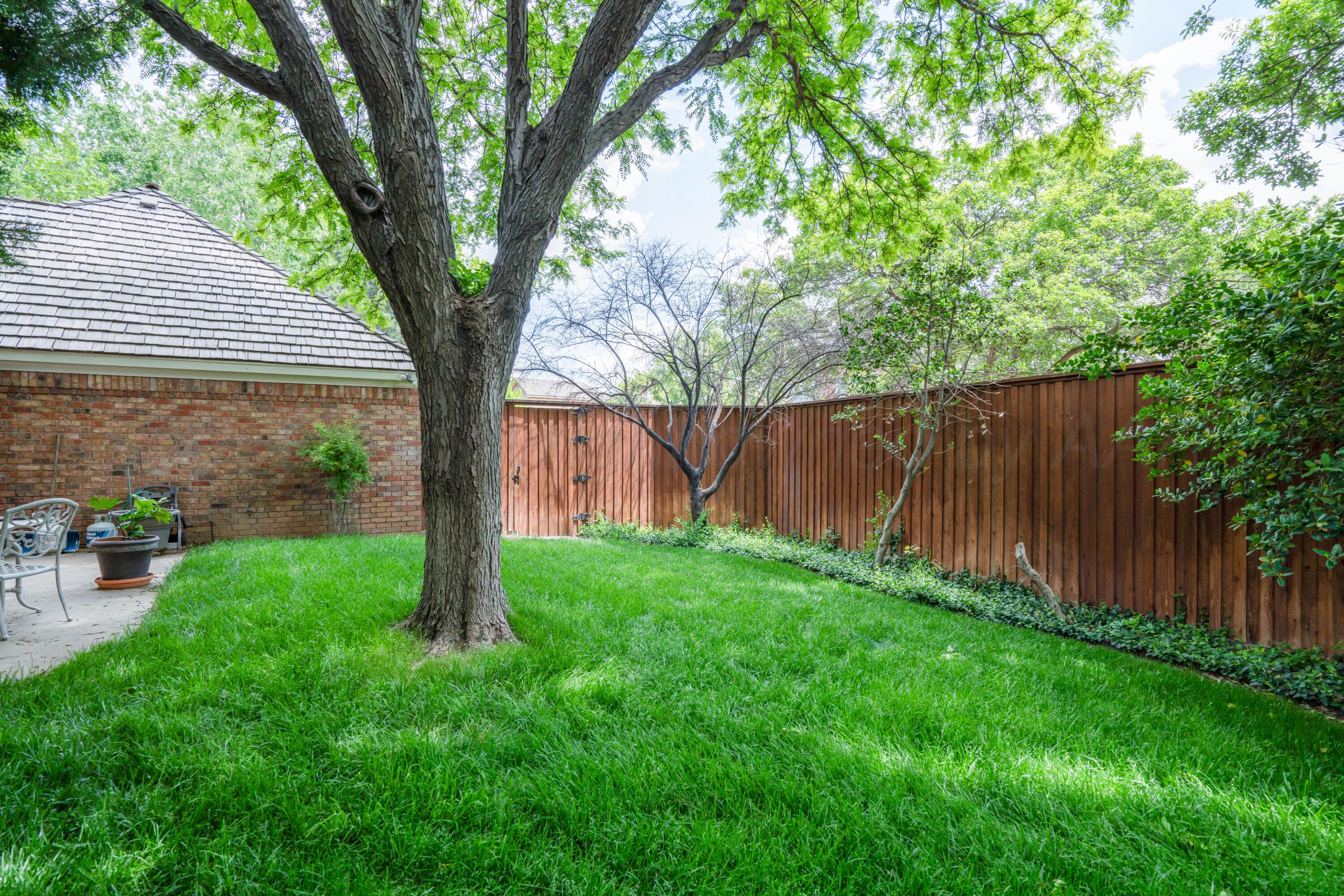3501 Van Winkle Drive Amarillo, TX 79121 - Photo 34 of 35 a view of backyard with table and chairs and a large tree