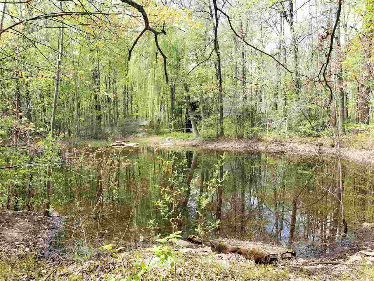 2851 South Brennan Road Hemlock, MI 48626 - Photo 35 of 35 Pond