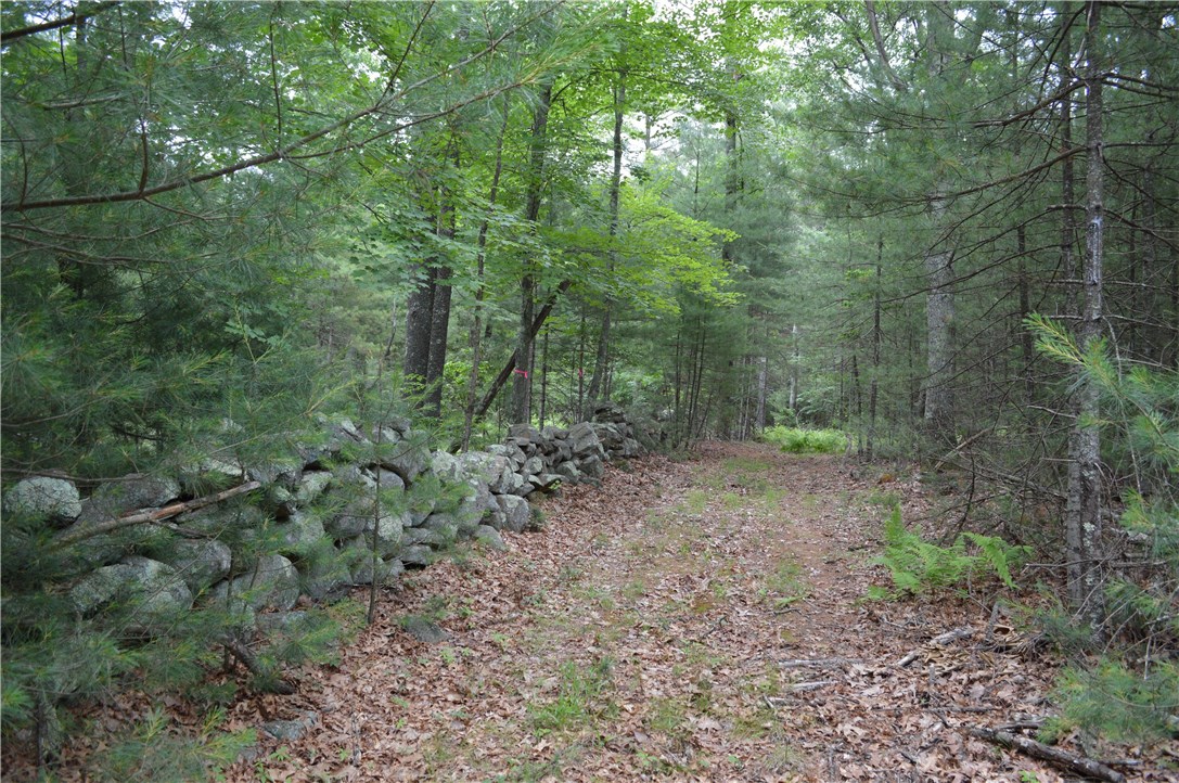 89 Sodom Trail Exeter, RI 02822 - Photo 1 of 22 Gallery Image 1