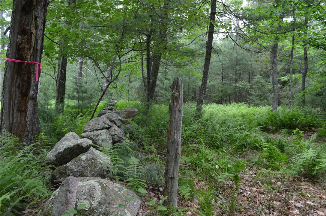 89 Sodom Trail Exeter, RI 02822 - Photo 11 of 22 Gallery Image 11