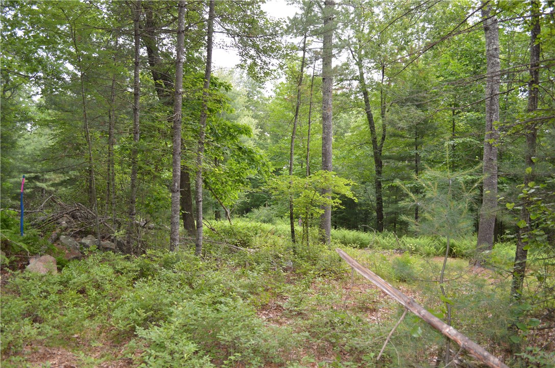 89 Sodom Trail Exeter, RI 02822 - Photo 13 of 22 Gallery Image 13