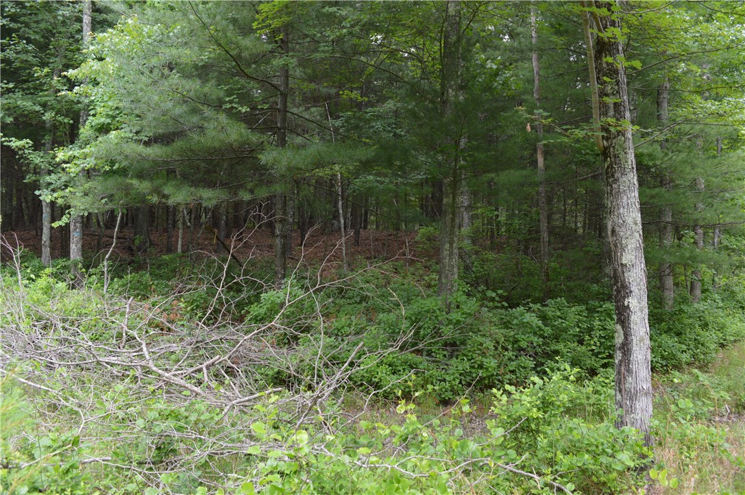 89 Sodom Trail Exeter, RI 02822 - Photo 14 of 22 Gallery Image 14