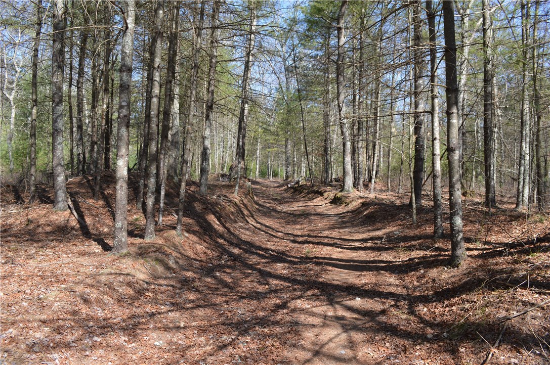 89 Sodom Trail Exeter, RI 02822 - Photo 15 of 22 Gallery Image 15