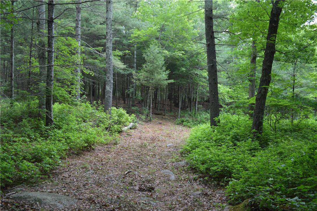 89 Sodom Trail Exeter, RI 02822 - Photo 16 of 22 Gallery Image 16