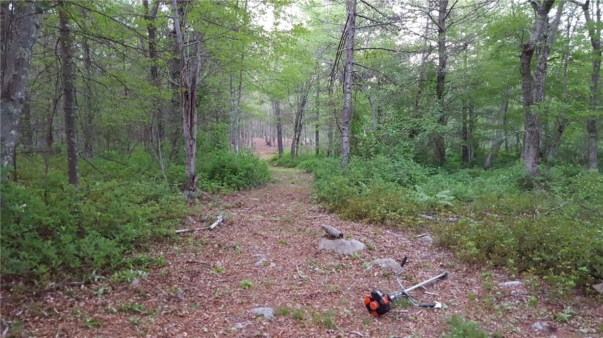 89 Sodom Trail Exeter, RI 02822 - Photo 3 of 22 Gallery Image 3