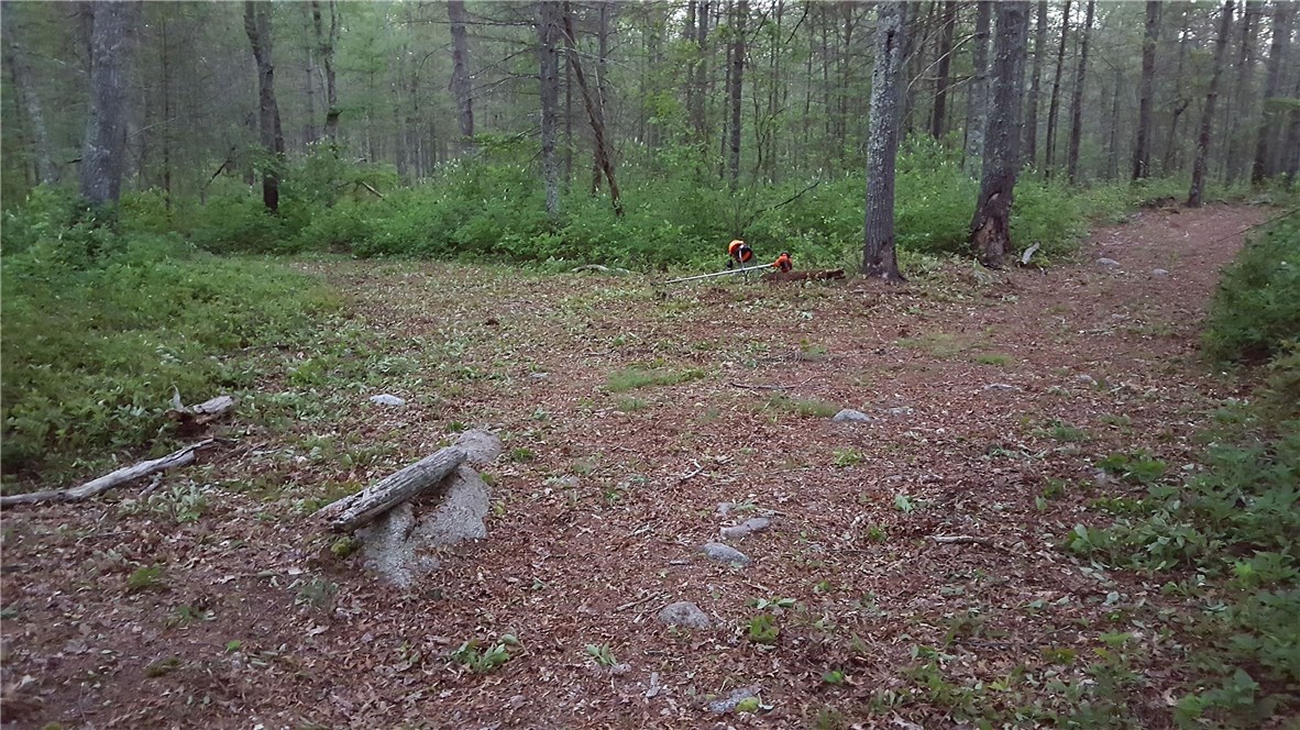 89 Sodom Trail Exeter, RI 02822 - Photo 4 of 22 Gallery Image 4