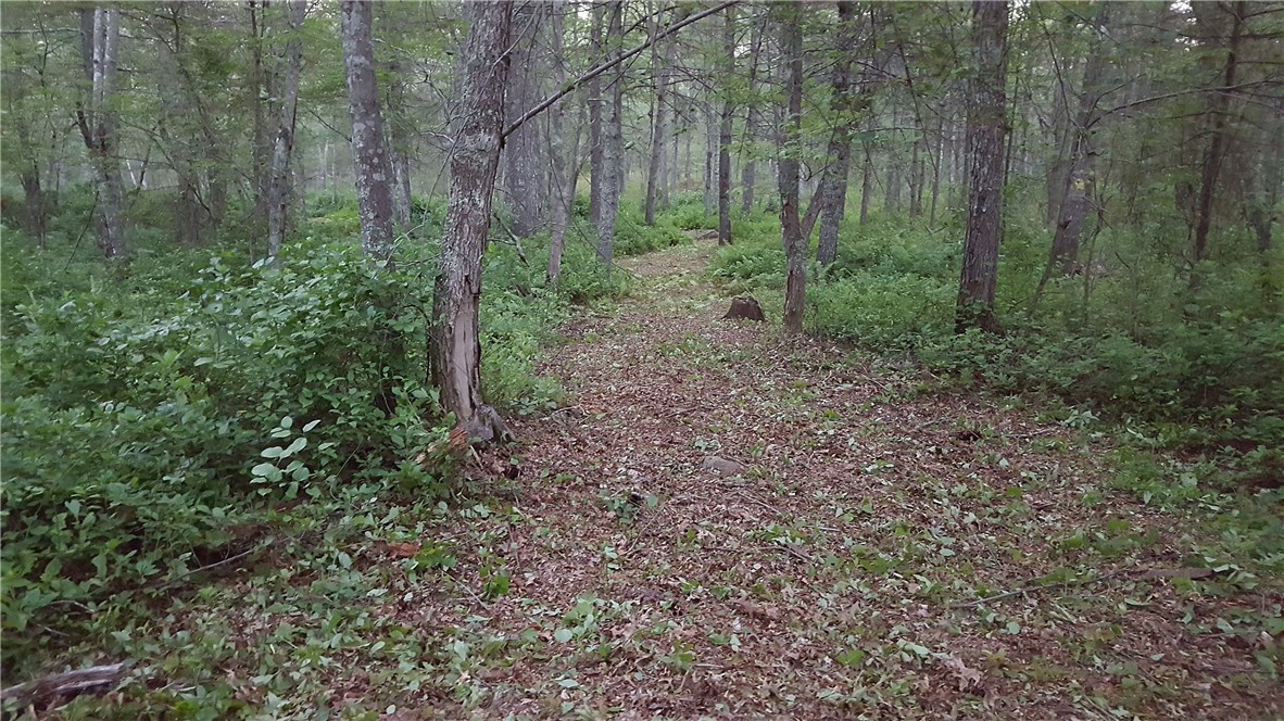 89 Sodom Trail Exeter, RI 02822 - Photo 5 of 22 Gallery Image 5
