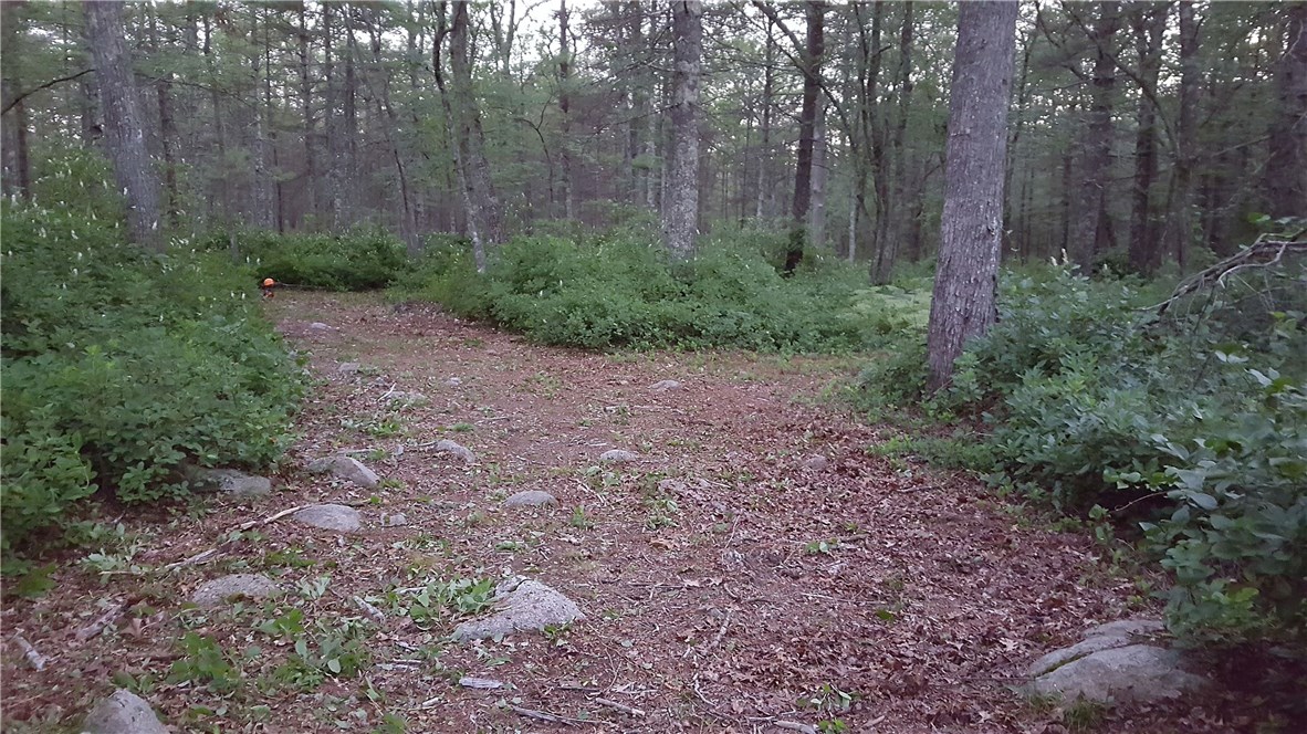 89 Sodom Trail Exeter, RI 02822 - Photo 6 of 22 Gallery Image 6