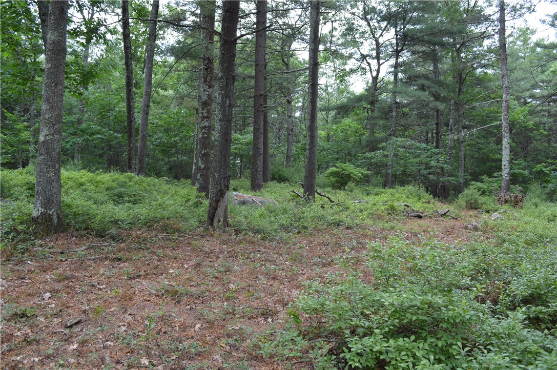 89 Sodom Trail Exeter, RI 02822 - Photo 7 of 22 Gallery Image 7