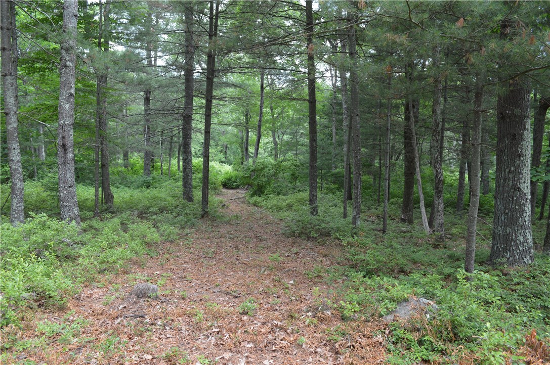 89 Sodom Trail Exeter, RI 02822 - Photo 8 of 22 Gallery Image 8