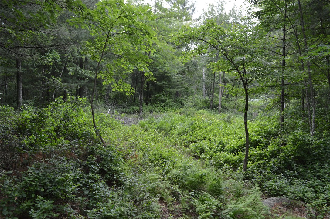 89 Sodom Trail Exeter, RI 02822 - Photo 10 of 22 Gallery Image 10