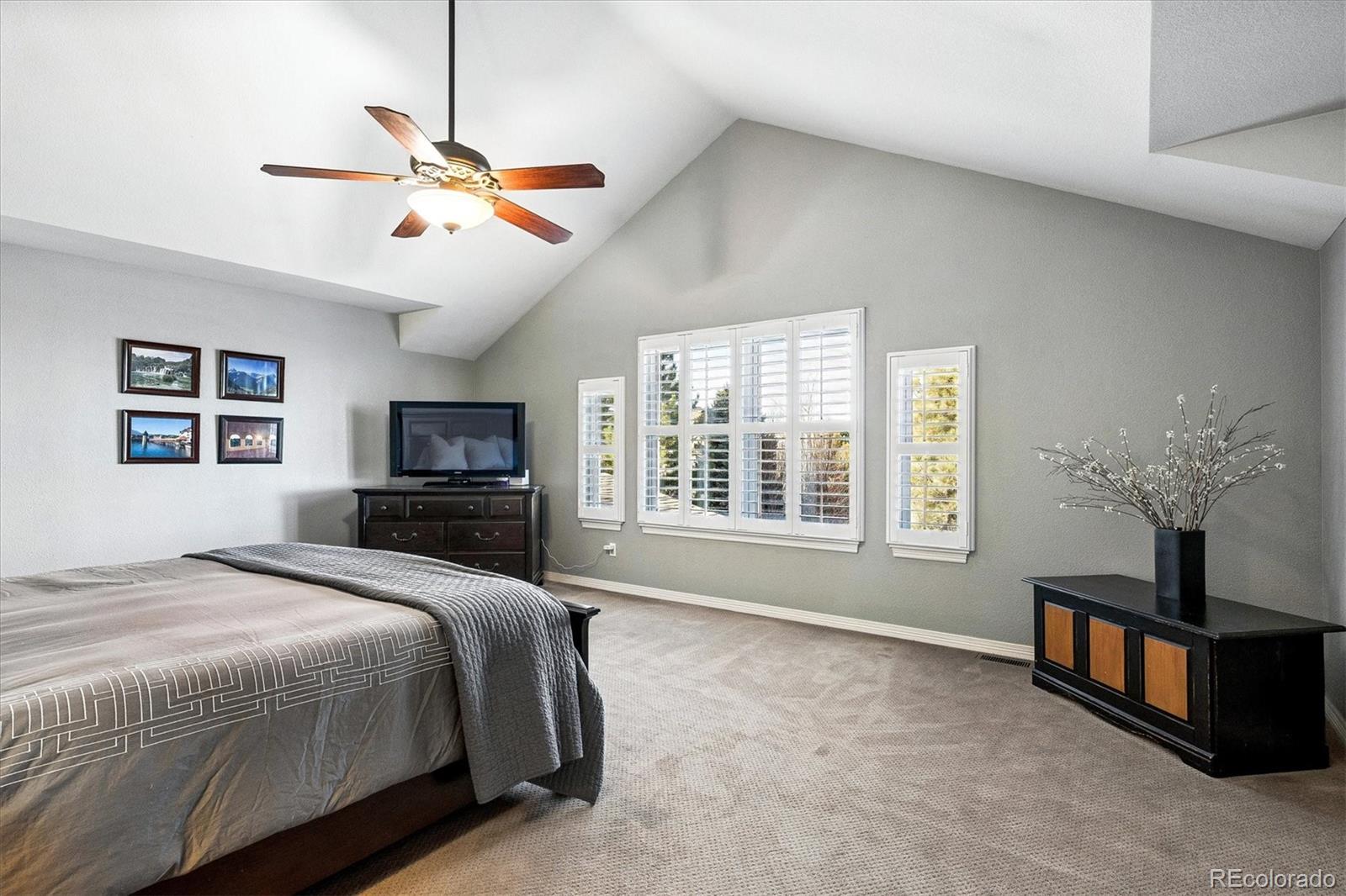 10633 Edgemont Court Highlands Ranch, CO 80129 - Photo 15 of 50