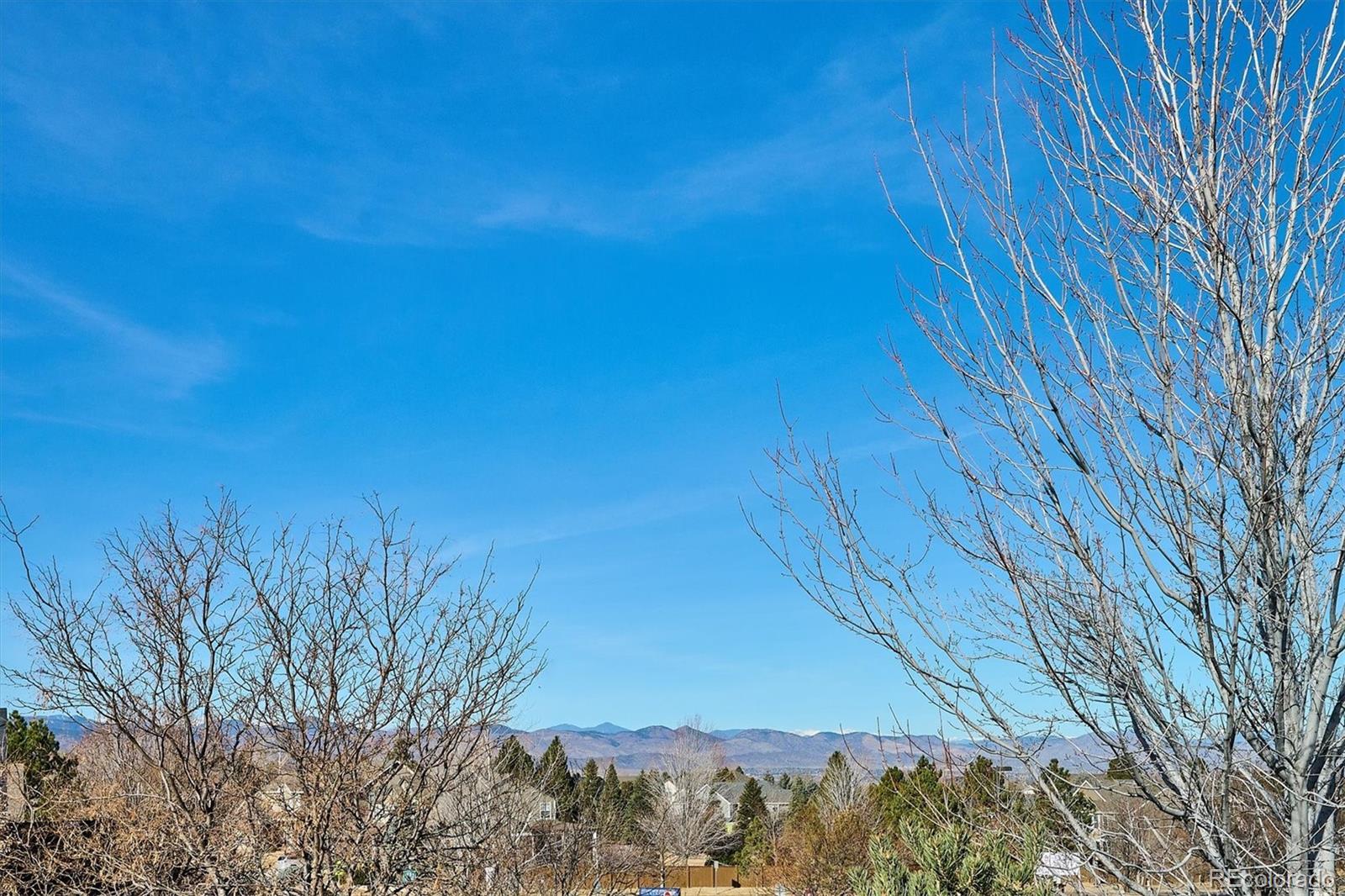 10633 Edgemont Court Highlands Ranch, CO 80129 - Photo 21 of 50