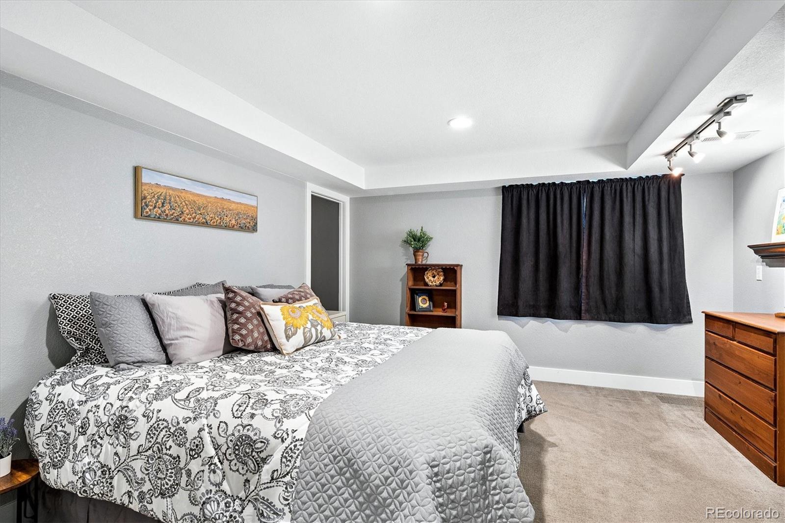 10633 Edgemont Court Highlands Ranch, CO 80129 - Photo 31 of 50