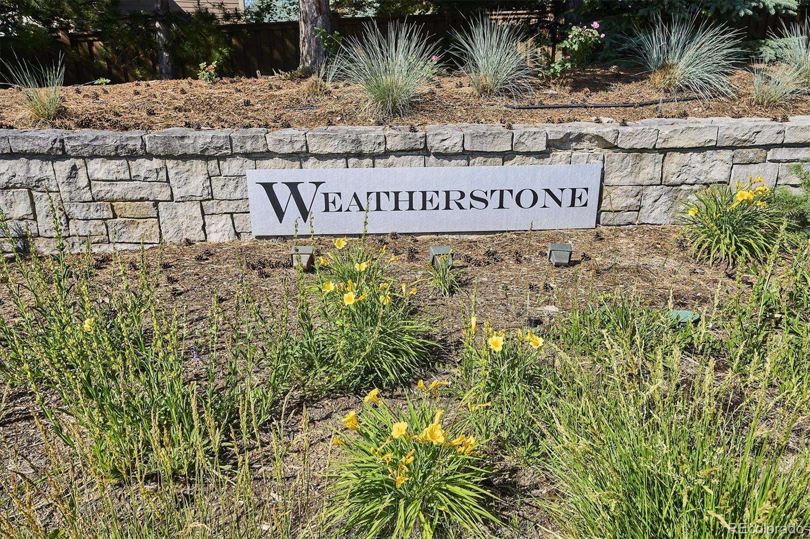 10633 Edgemont Court Highlands Ranch, CO 80129 - Photo 47 of 50