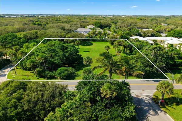 a view of a city with lush green forest
