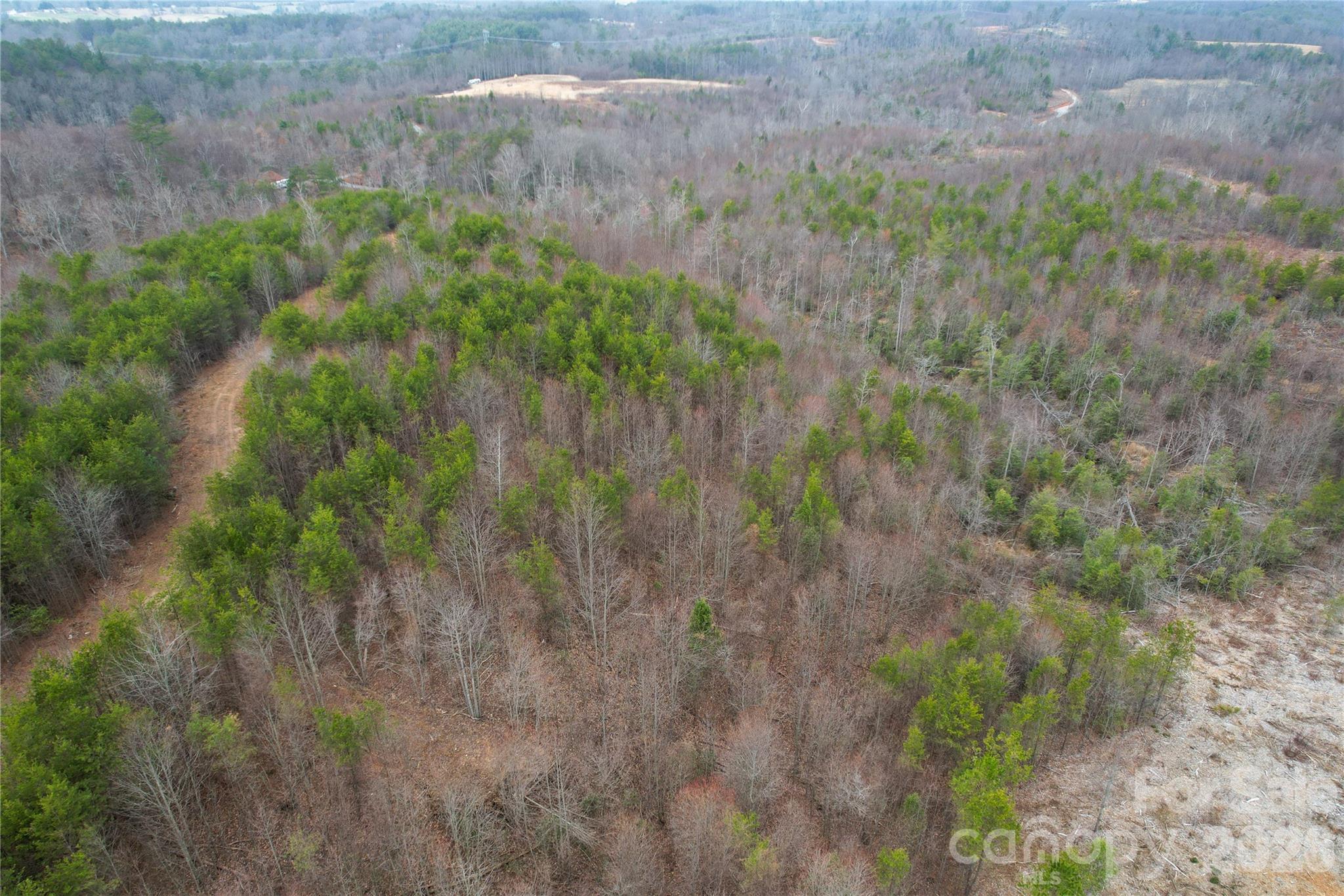 0 Baugess Mill Road Traphill, NC 28685 - Photo 26 of 29