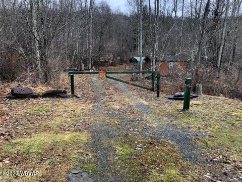 0 Wallis Run Road Trout Run, PA 17771 - Photo 2 of 10 Gallery Image 2