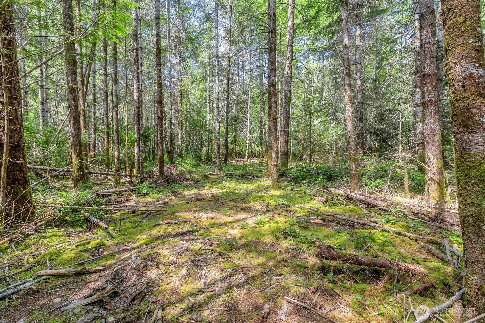 3791 Northeast Sand Hill Road Belfair, WA 98528 - Photo 23 of 32