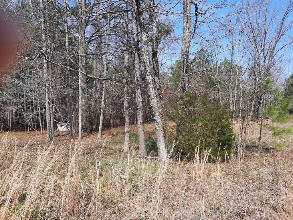 0 Johnson Road Chatsworth, GA 30705 - Photo 2 of 5