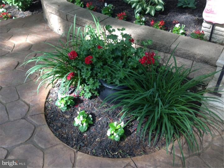 58 Ark Road Medford, NJ 08055 - Photo 13 of 13 a plant