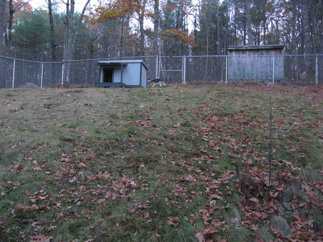 473 Berry River Road Barrington, NH 03825 - Photo 14 of 14