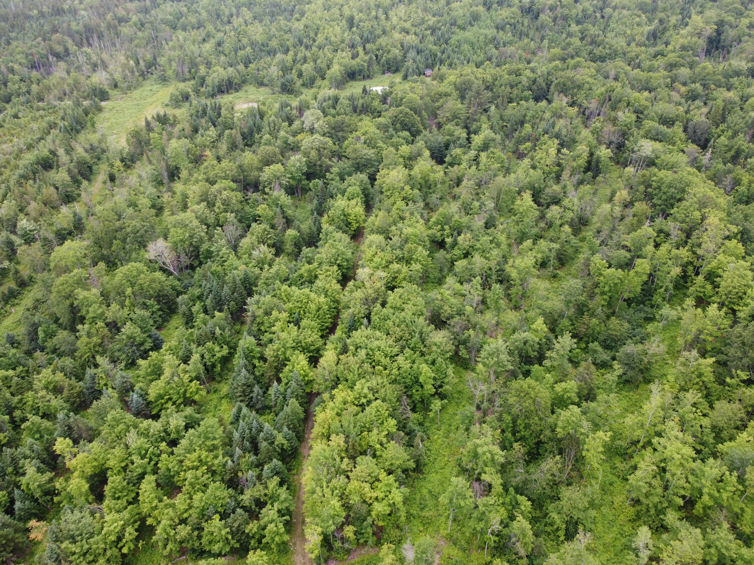 M7-l14 High Meadow Road Perham, ME 04766 - Photo 19 of 22 DJI_0625