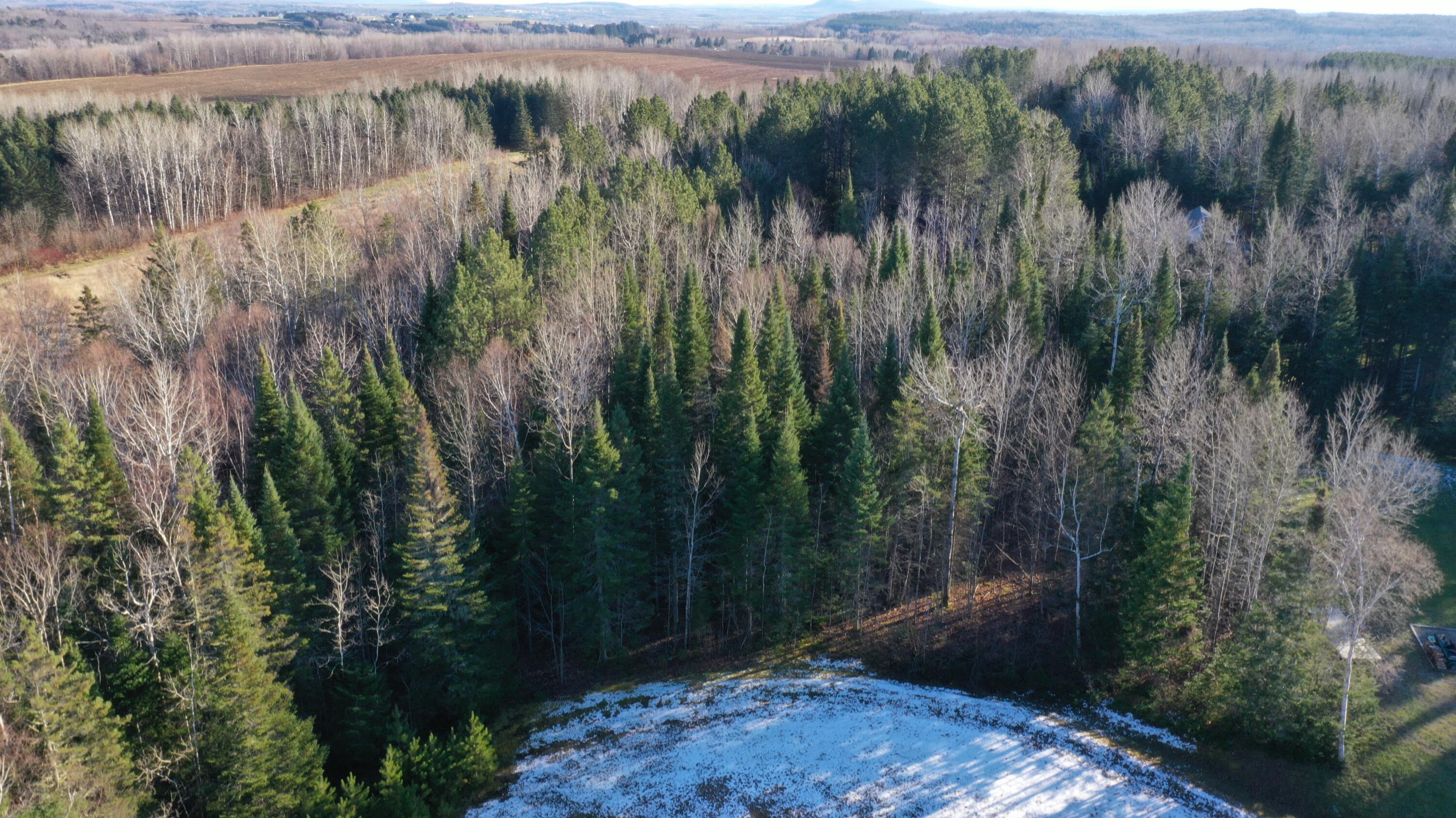 M8-l29-25 Bear Paw Path Mapleton, ME 04757 - Photo 3 of 3 DJI_0232