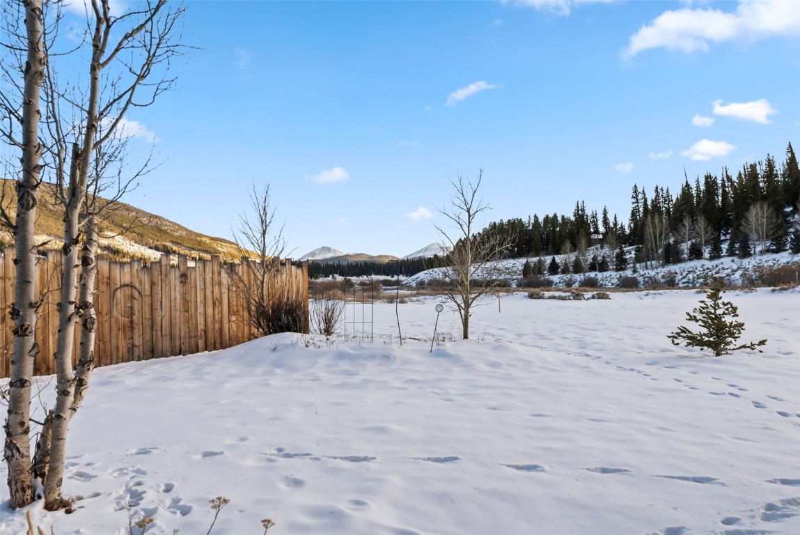 994 Summit Drive Dillon, CO 80435 - Photo 35 of 38 a view of a backyard