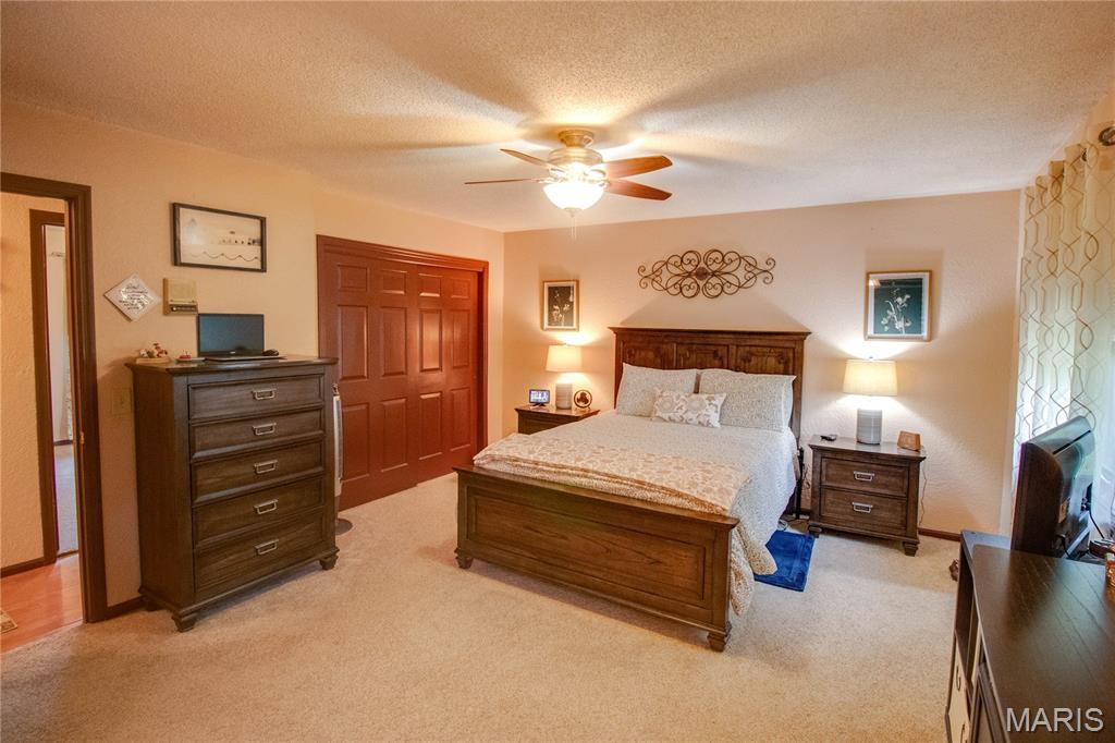 26195 Airport Road Dow, IL 62022 - Photo 33 of 89