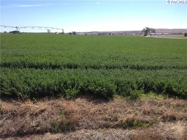 704 South Thacker Road Othello, WA 99344 - Photo 1 of 1 Gallery Image 1