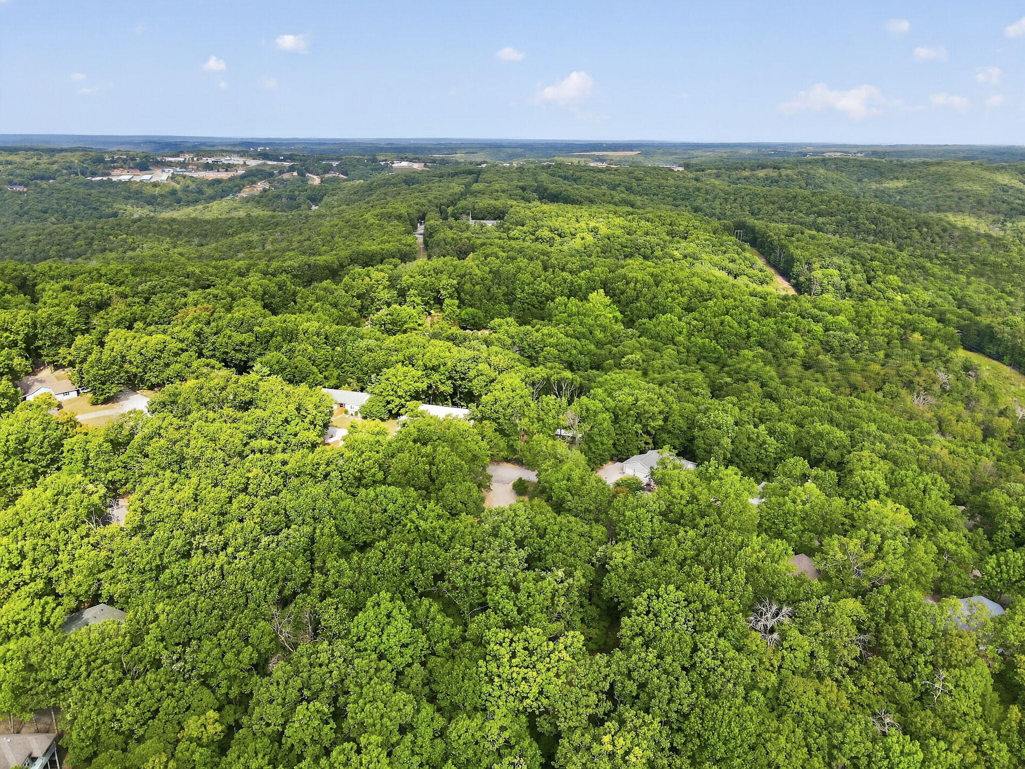 166 Queensberry Road Reeds Spring, MO 65737 - Photo 48 of 50 39-web-or-mls-dji_fly_20260901_102750_81