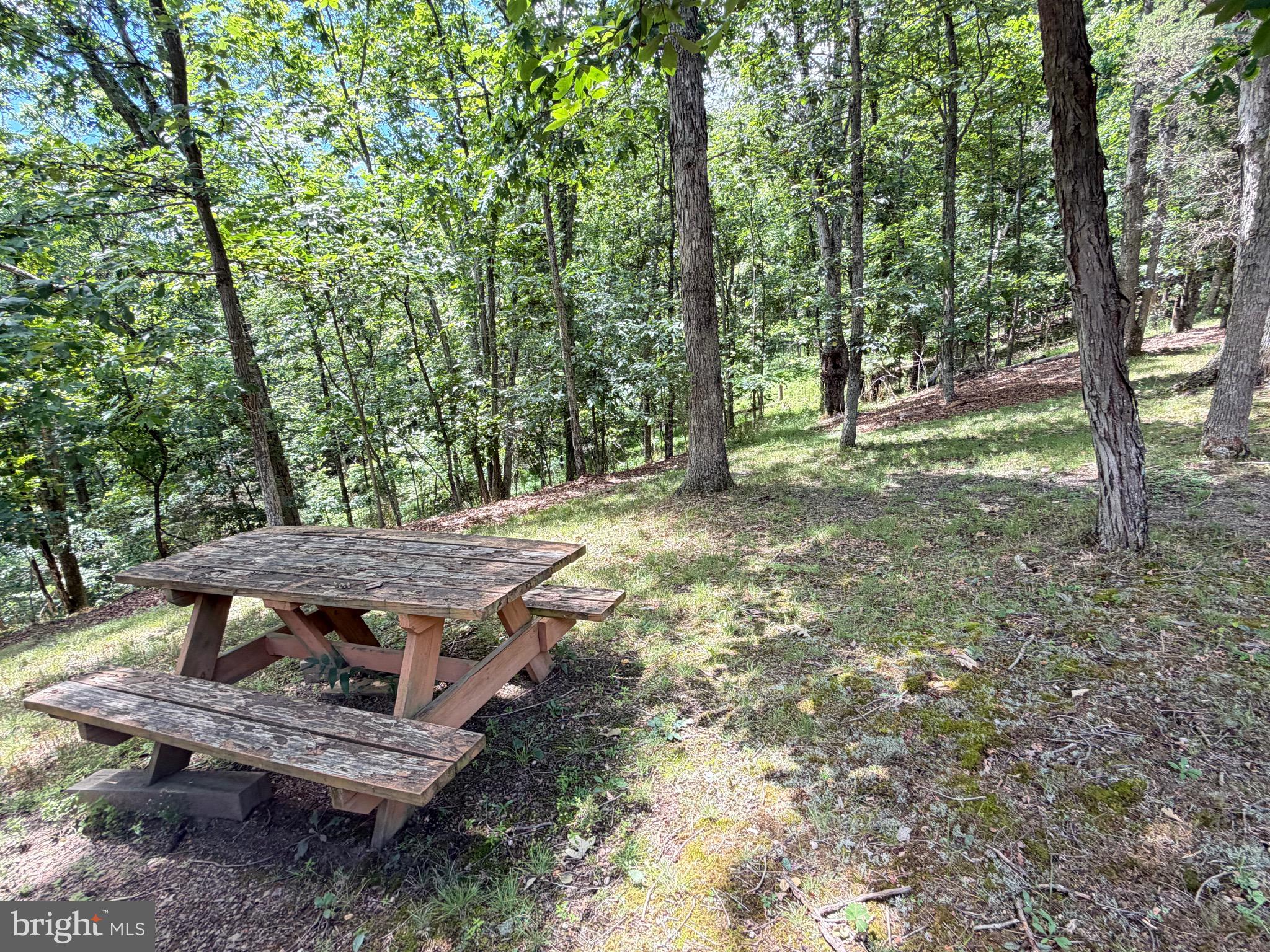 511 Chickadee Road Purgitsville, WV 26852 - Photo 62 of 99