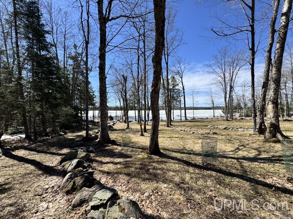 14236 Basalt Street Covington, MI 49919 - Photo 47 of 70