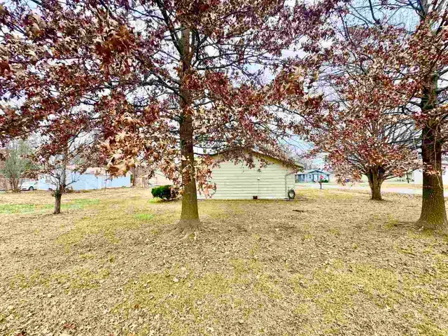 a tree in the garden of a house
