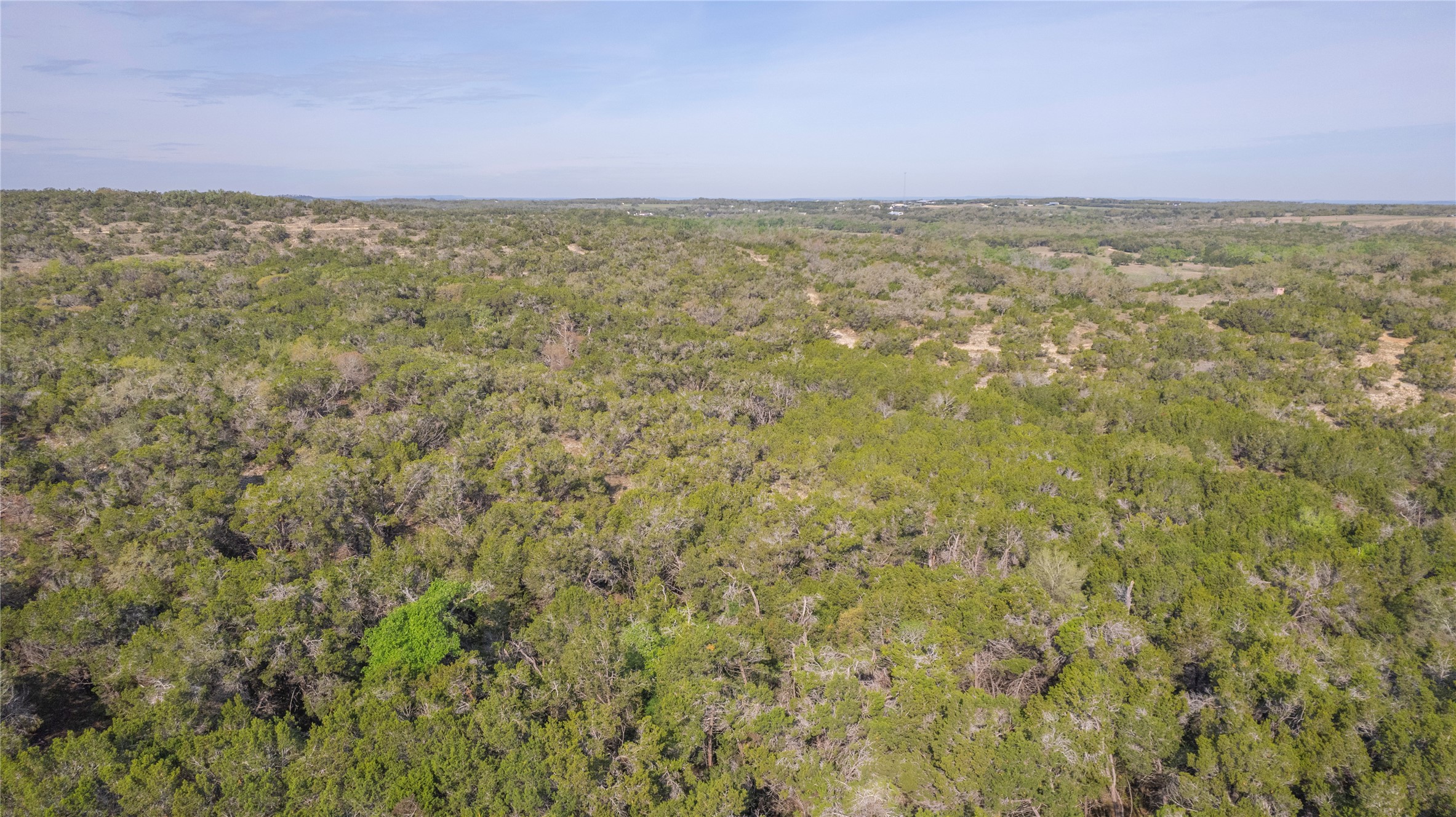 Tbd Bell Springs Road Dripping Springs, TX 78620 - Photo 11 of 40 Bird's eye view of a heavily wooded area