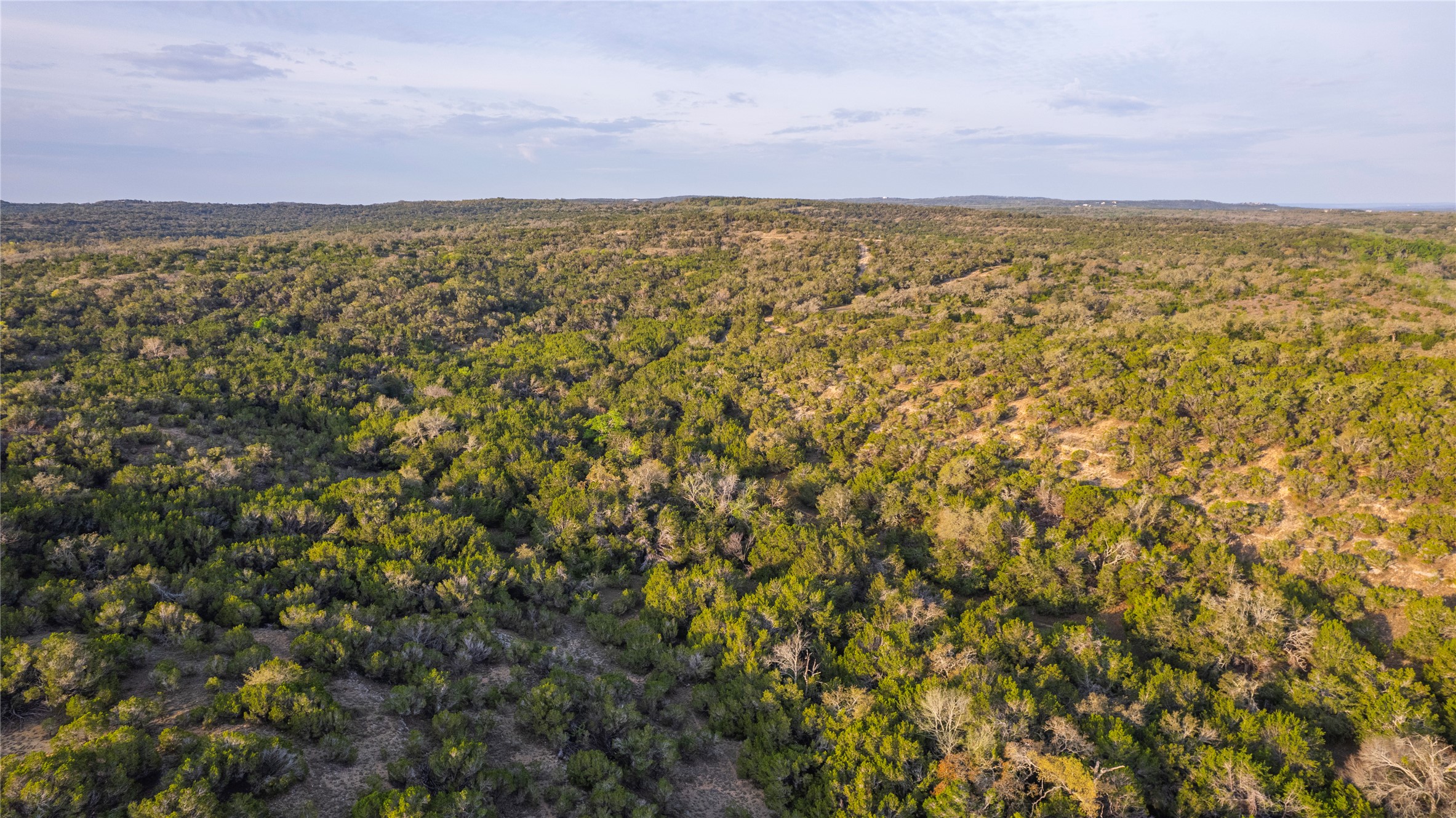 Tbd Bell Springs Road Dripping Springs, TX 78620 - Photo 22 of 40 Drone / aerial view of a heavily wooded area