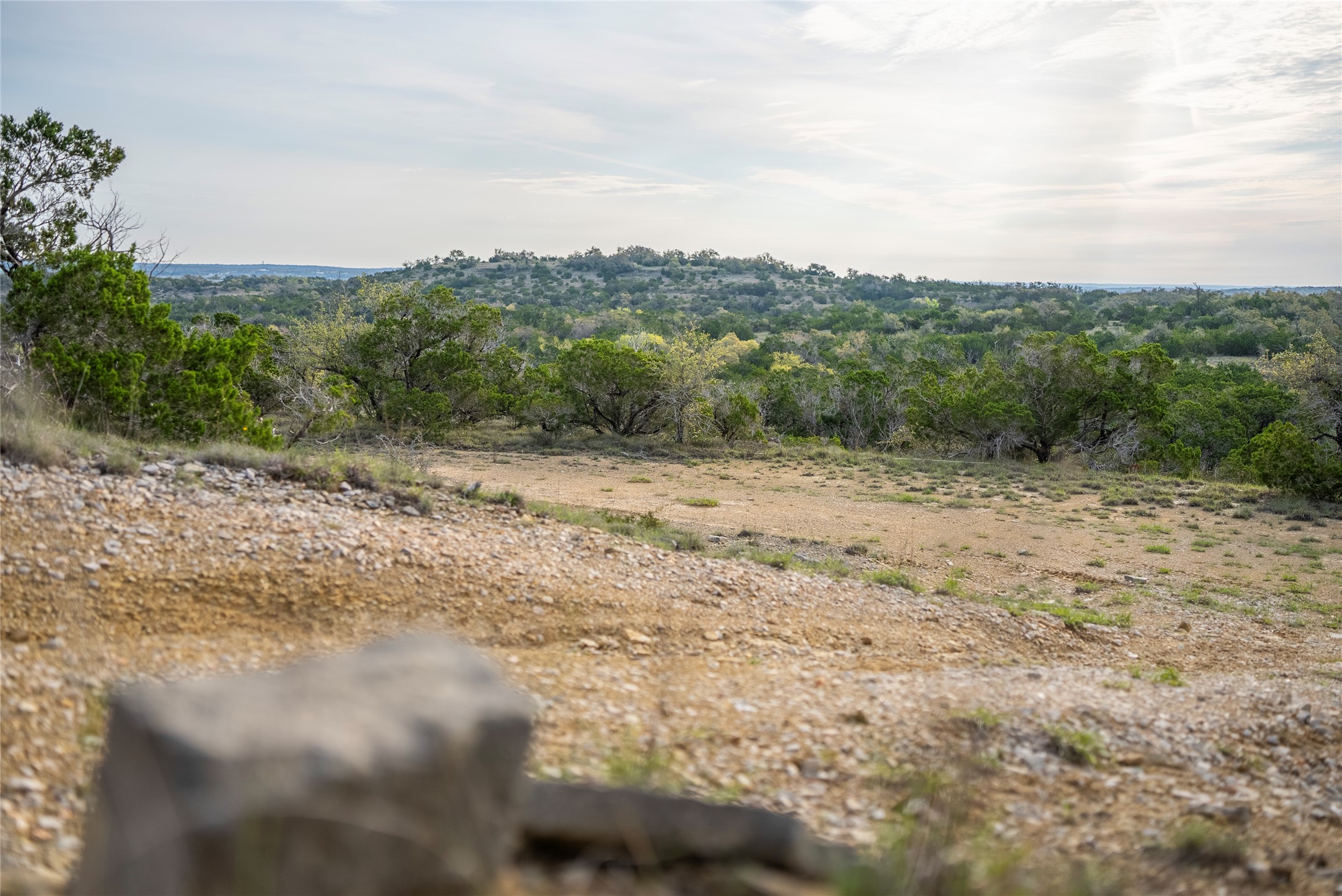 Tbd Bell Springs Road Dripping Springs, TX 78620 - Photo 26 of 40 View of undeveloped land