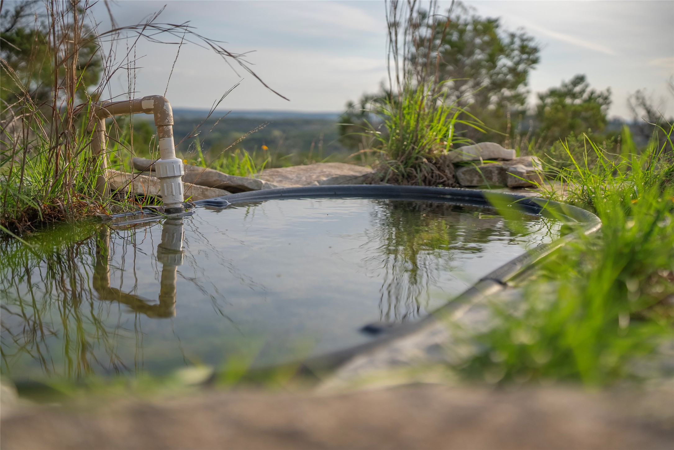 Tbd Bell Springs Road Dripping Springs, TX 78620 - Photo 27 of 40 View of pool