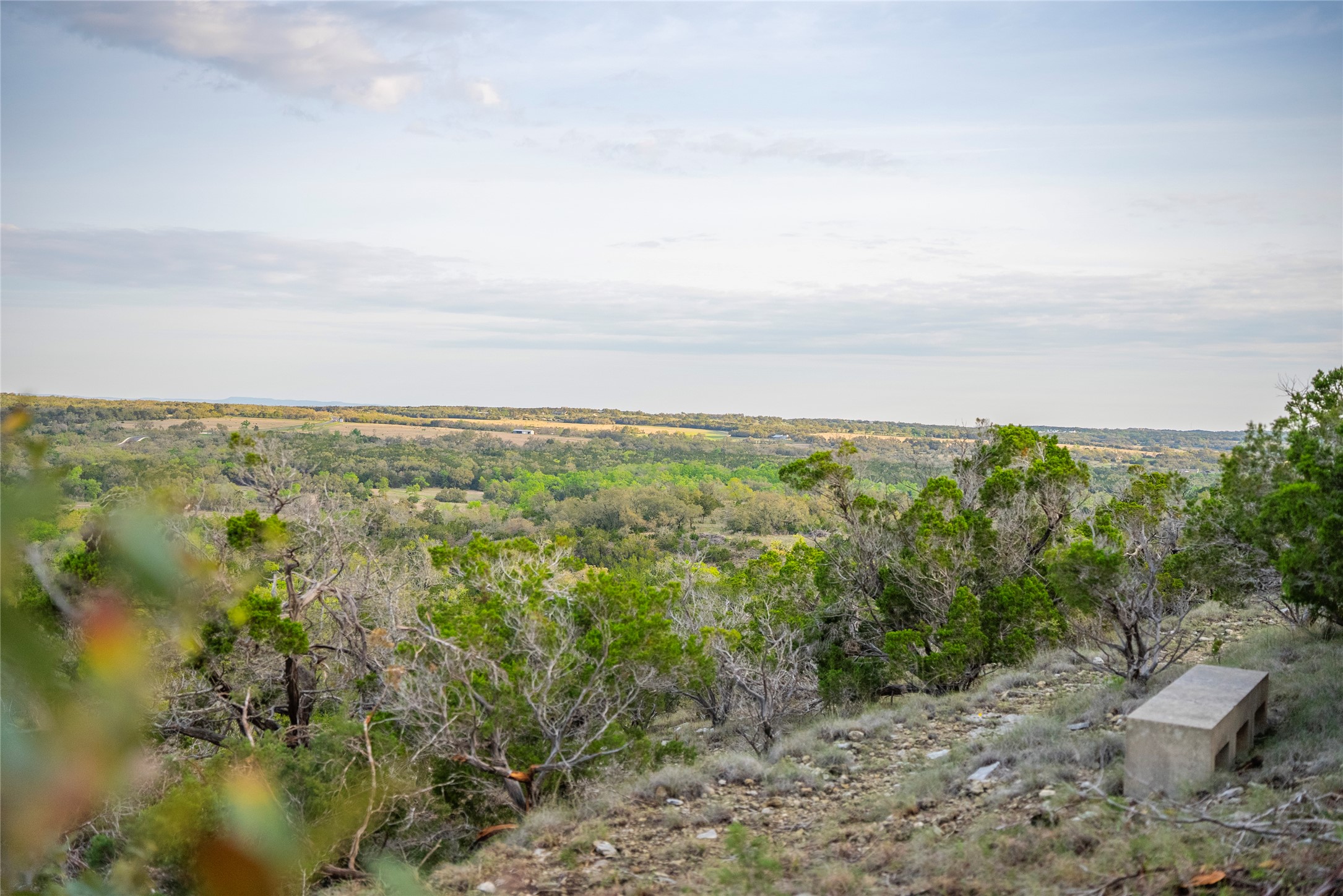 Tbd Bell Springs Road Dripping Springs, TX 78620 - Photo 28 of 40 View of nature