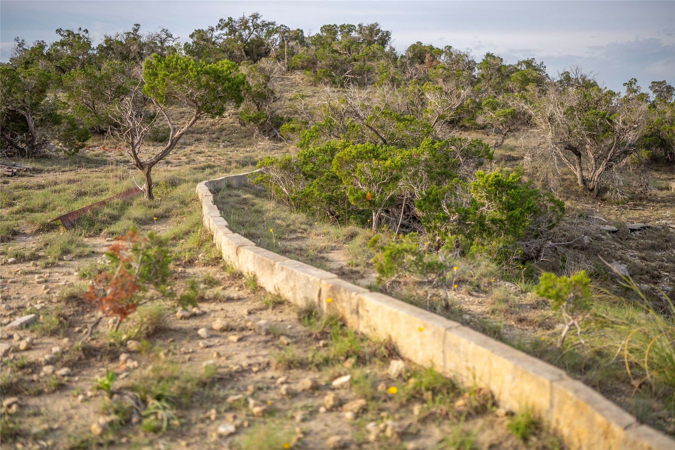 Tbd Bell Springs Road Dripping Springs, TX 78620 - Photo 35 of 40 View of local wilderness