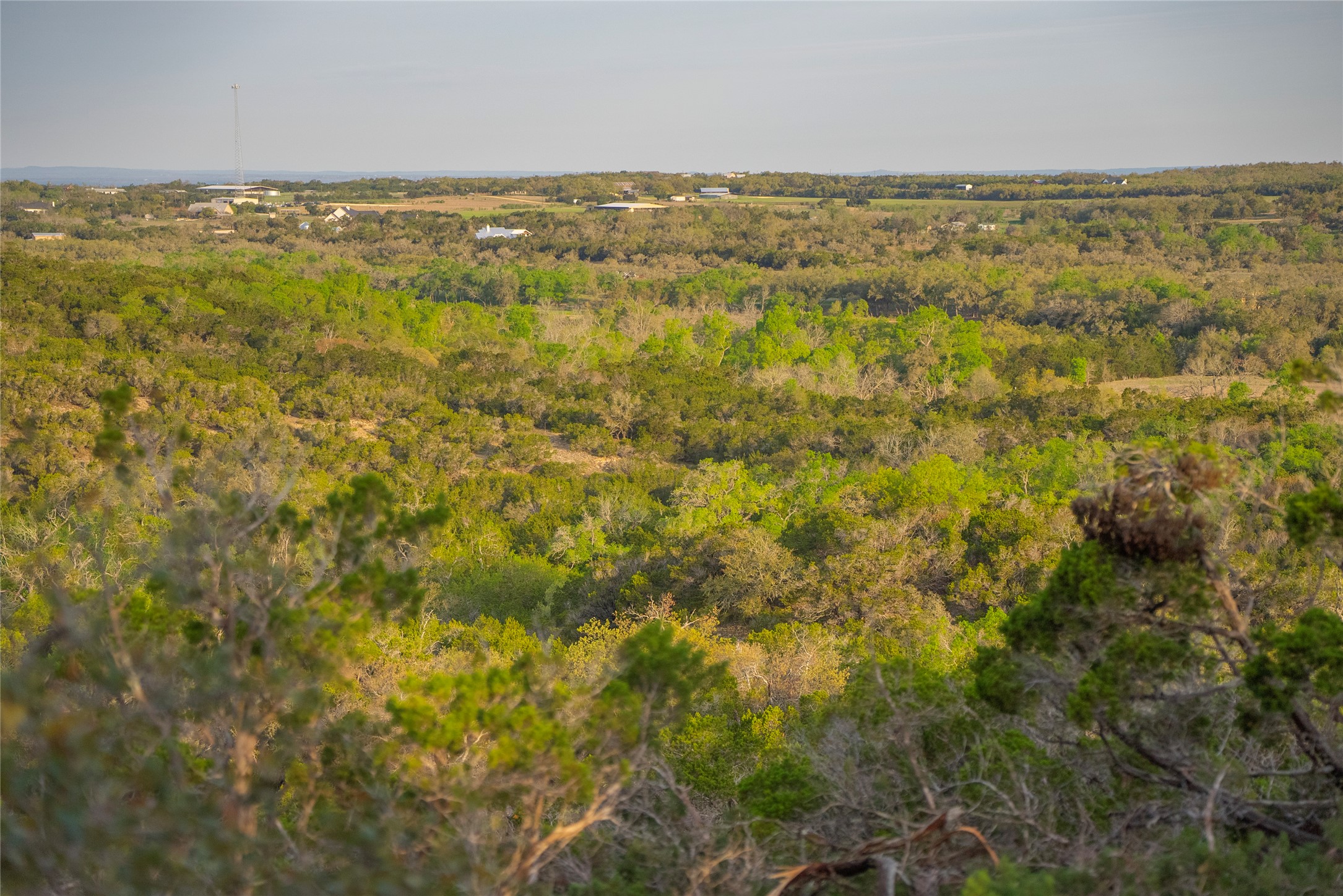 Tbd Bell Springs Road Dripping Springs, TX 78620 - Photo 9 of 40 Gallery Image 9